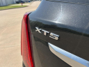 Thumbnail image of 2021 Cadillac XT5 at Wilson Auto Family