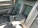 Thumbnail image of 2021 Cadillac XT5 at Wilson Auto Family