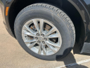 Thumbnail image of 2021 Cadillac XT5 at Wilson Auto Family