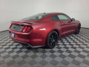 Thumbnail image of 2017 Ford Mustang at Brighton Ford