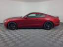 Thumbnail image of 2017 Ford Mustang at Brighton Ford
