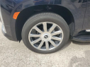 Thumbnail image of 2024 Cadillac Escalade at Vera Cadillac Buick GMC