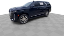 Thumbnail image of 2024 Cadillac Escalade at Vera Cadillac Buick GMC