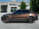 Thumbnail image of 2019 Alfa Romeo Stelvio at Trinity Cadillac