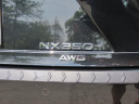 Thumbnail image of 2022 Lexus NX 350 at DCH Honda of Nanuet