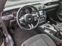 Thumbnail image of 2023 Ford Mustang at Gerald Ford Inc - NEW