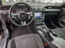 Thumbnail image of 2023 Ford Mustang at Gerald Ford Inc - NEW