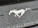 Thumbnail image of 2023 Ford Mustang at Gerald Ford Inc - NEW