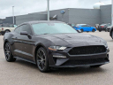 2023 Ford Mustang EcoBoost at Gerald Ford Inc - NEW
