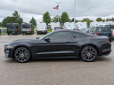 Thumbnail image of 2023 Ford Mustang at Gerald Ford Inc - NEW