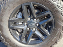 Thumbnail image of 2024 Chevrolet Silverado 1500 at JohnSauderNewHolland of New Holland, PA