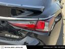 2024 Lexus ES 350 Ultra Luxury at Stoler Lexus