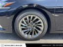 Thumbnail image of 2024 Lexus ES 350 at Stoler Lexus
