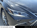 Thumbnail image of 2024 Lexus ES 350 at Stoler Lexus