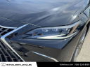 Thumbnail image of 2024 Lexus ES 350 at Stoler Lexus