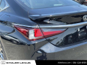 Thumbnail image of 2024 Lexus ES 350 at Stoler Lexus