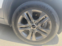 Thumbnail image of 2023 Kia Seltos at Phil Hughes Honda - Used