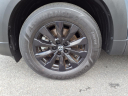 Thumbnail image of 2023 Mazda CX-50 at Springfield Acura