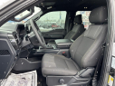 Thumbnail image of 2024 Ford F-150 at Cawood Honda