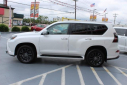 Thumbnail image of 2023 Lexus GX 460 at Millennium Toyota