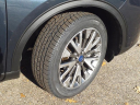 Thumbnail image of 2022 Ford Escape at Mcfarland Ford Rochester