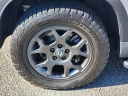 Thumbnail image of 2024 Honda Pilot at Honda Universe