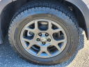 Thumbnail image of 2024 Honda Pilot at Honda Universe