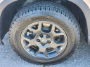 Thumbnail image of 2024 Honda Pilot at Honda Universe