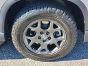 Thumbnail image of 2024 Honda Pilot at Honda Universe