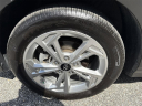 2023 Hyundai KONA SEL at Palmers Airport Hyundai