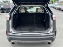 Thumbnail image of 2020 Ford Edge at Champion Chevrolet Cadillac