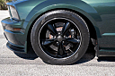 Thumbnail image of 2009 Ford Mustang at Burnyzz Llc.