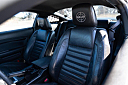 Thumbnail image of 2009 Ford Mustang at Burnyzz Llc.