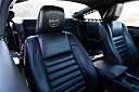 Thumbnail image of 2009 Ford Mustang at Burnyzz Llc.