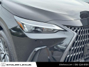 2024 Lexus NX 350 Premium at Stoler Lexus