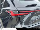 Thumbnail image of 2024 Lexus NX 350 at Stoler Lexus