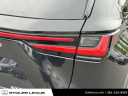 Thumbnail image of 2024 Lexus NX 350 at Stoler Lexus