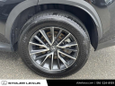 Thumbnail image of 2024 Lexus NX 350 at Stoler Lexus