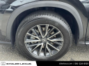 Thumbnail image of 2024 Lexus NX 350 at Stoler Lexus
