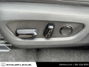 Thumbnail image of 2024 Lexus NX 350 at Stoler Lexus