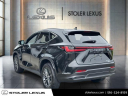 Thumbnail image of 2024 Lexus NX 350 at Stoler Lexus