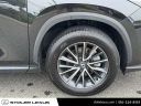Thumbnail image of 2024 Lexus NX 350 at Stoler Lexus