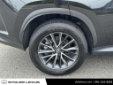 Thumbnail image of 2024 Lexus NX 350 at Stoler Lexus