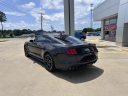 Thumbnail image of 2023 Ford Mustang at James Hodge Ford Inc.