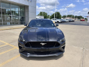 Thumbnail image of 2023 Ford Mustang at James Hodge Ford Inc.