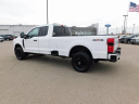 Thumbnail image of 2025 Ford F-250 Super Duty at Wetzel Ford
