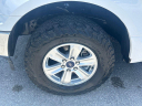 Thumbnail image of 2019 Ford F-150 at Wayne Akers Ford