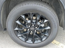 Thumbnail image of 2024 Chevrolet Traverse at Al Serra Cadillac