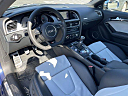 Thumbnail image of 2014 Audi S5 at EurobahnBmwMiniMercedesBenz of Greensboro, NC