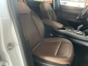 Thumbnail image of 2022 Alfa Romeo Stelvio at Stanley Automotive Enterprises Inc.